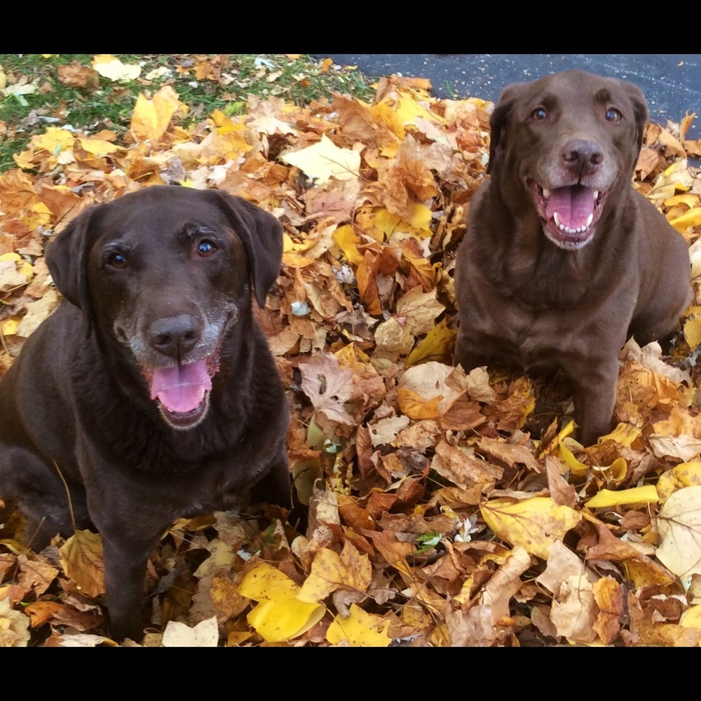 Meet your Posher, Cathleen